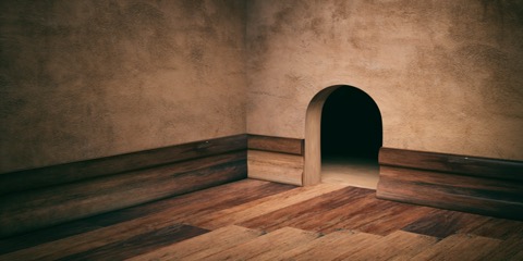 Signs You May Have Mice in the Attic